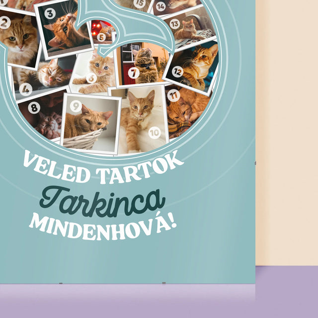 Alakzat Fotókból: Macska - Plakát