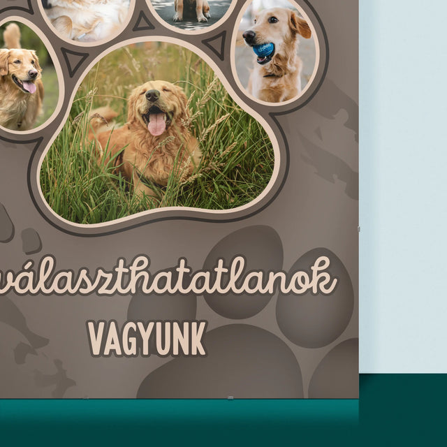 Alakzat Fotókból: Mancsnyom - Plakát