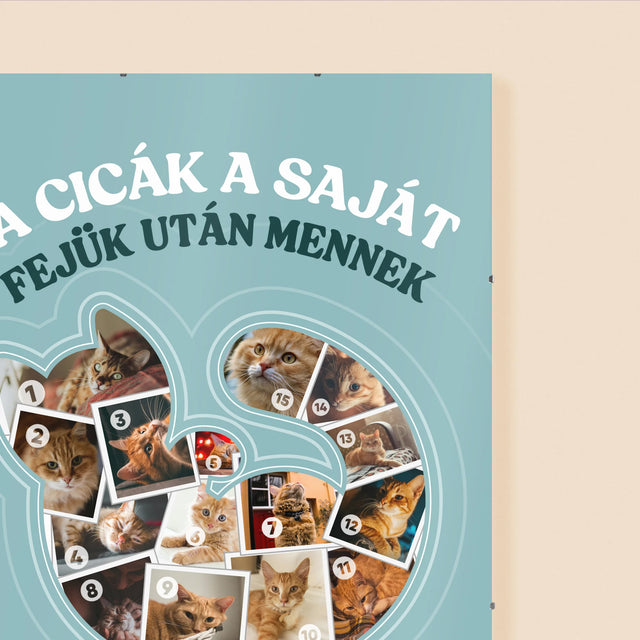 Alakzat Fotókból: Macska - Plakát