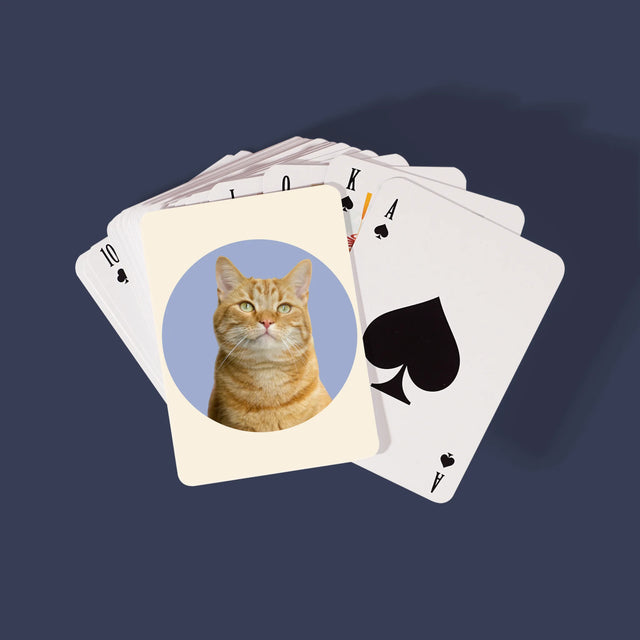 Fénykép: Cicád - Kártyapakli