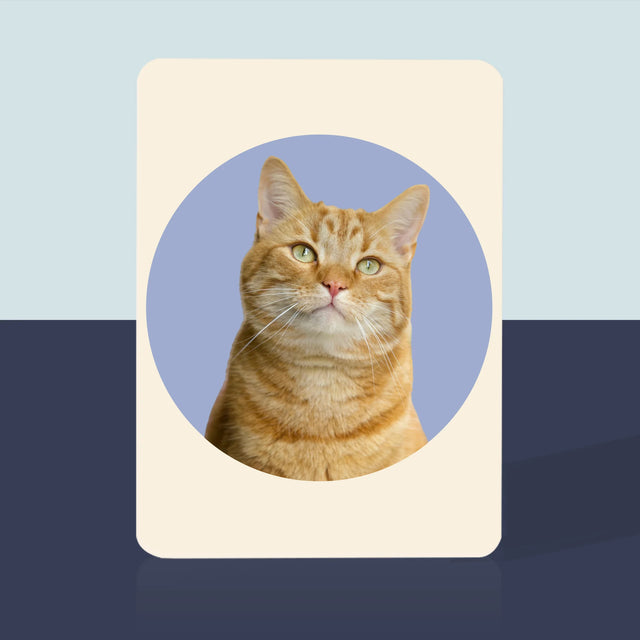 Fénykép: Cicád - Kártyapakli