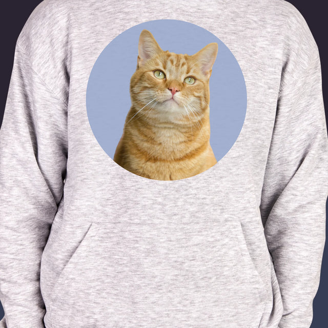 Fénykép: Cicád - Férfi Kapucnis Pulóver