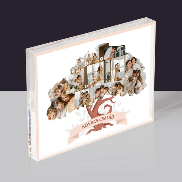 Alakzat Fotókból: Családfa - Akrilüveg