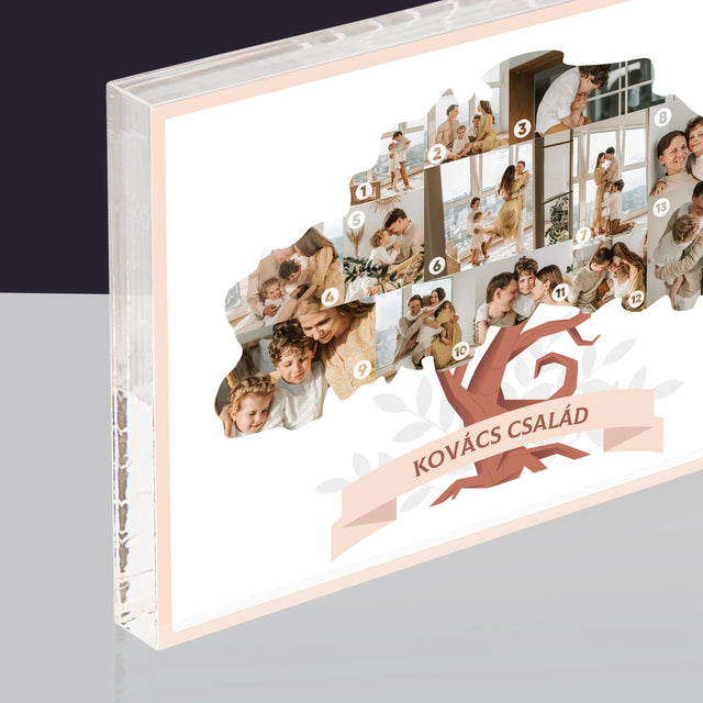 Alakzat Fotókból: Családfa - Akrilüveg