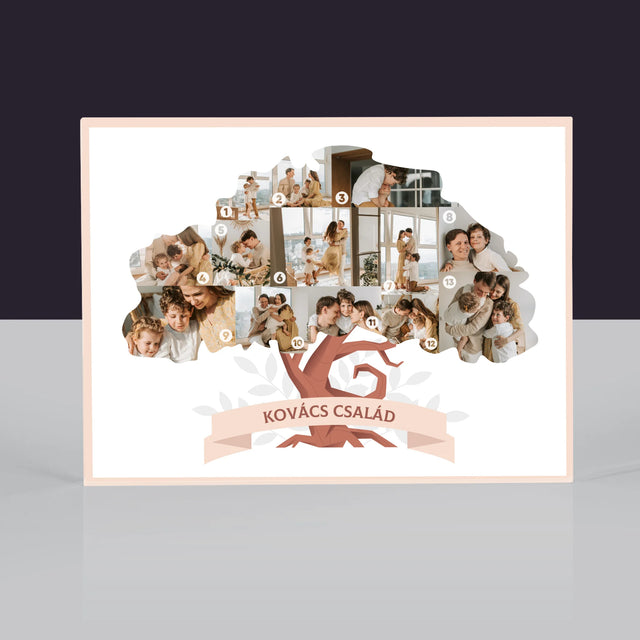 Alakzat Fotókból: Családfa - Akrilüveg