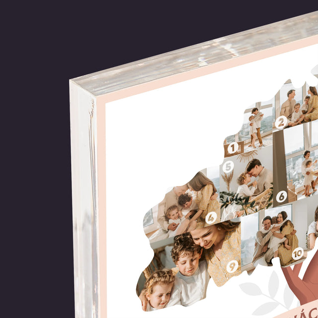 Alakzat Fotókból: Családfa - Akrilüveg