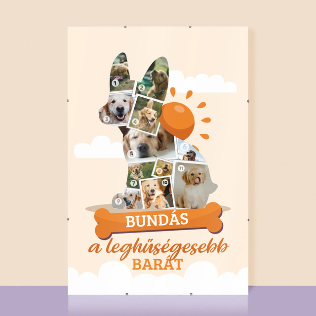 Alakzat Fotókból: Kutya - Plakát