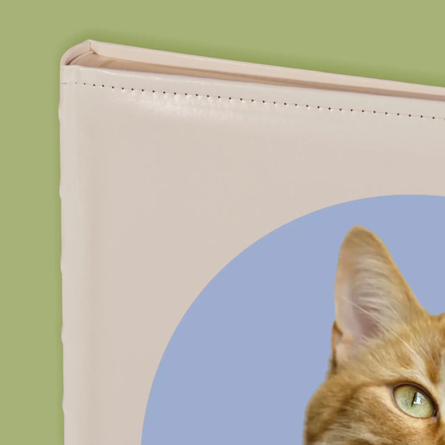 Fénykép: Cicád - Fotóalbum