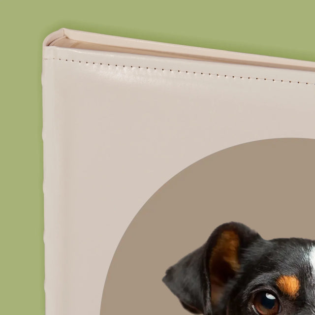 Fénykép: Kutyád - Fotóalbum