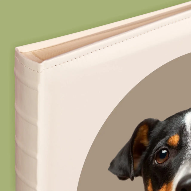 Fénykép: Kutyád - Fotóalbum