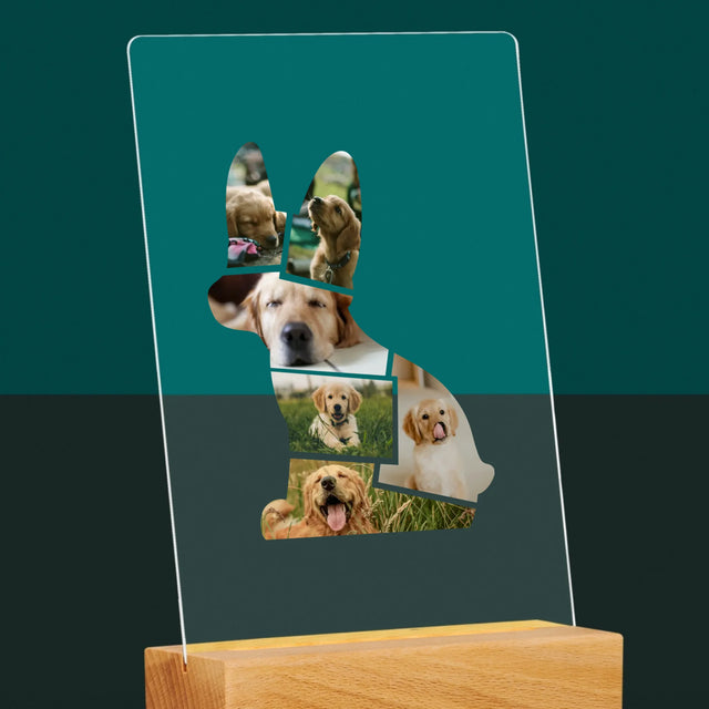 Fotó És Felirat: Netflix Plakát - Akrilüvegre Nyomtatott Kép