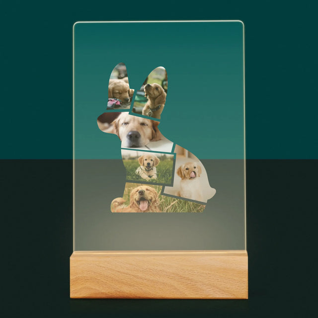 Fotó És Felirat: Netflix Plakát - Akrilüvegre Nyomtatott Kép