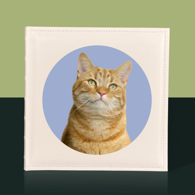 Fénykép: Cicád - Fotóalbum