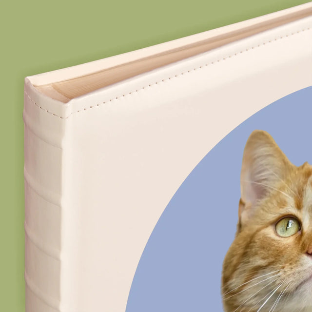 Fénykép: Cicád - Fotóalbum