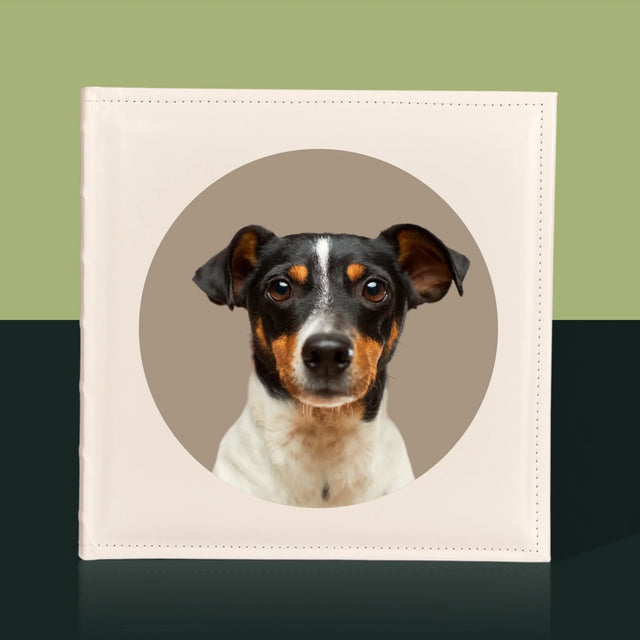 Fénykép: Kutyád - Fotóalbum